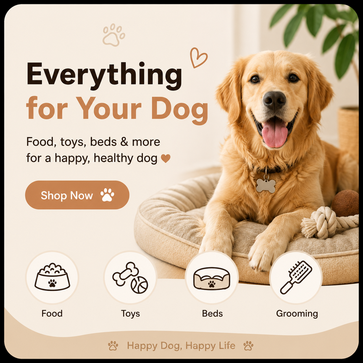 Dog