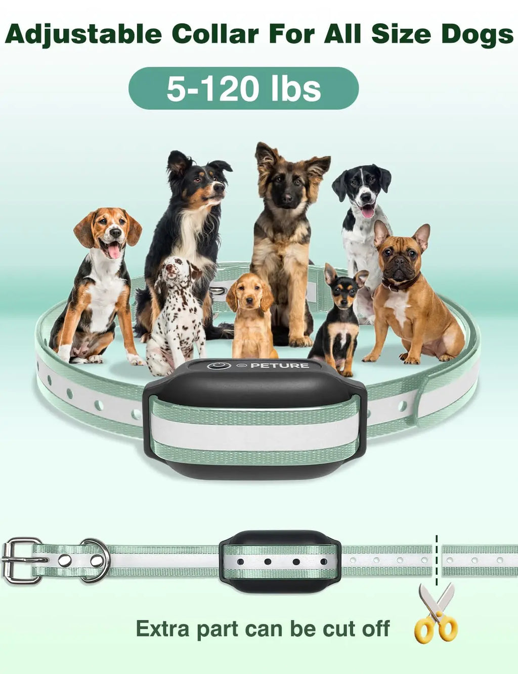 3300ft Dog Shock Collar with Remote, Shock & Double Shock Mode ,IPX7 Waterproof Training Collars for 7-120lbs Medium Large Dogs