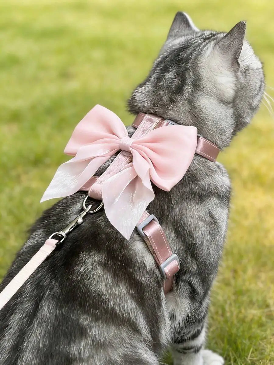 1 set of high-end and fashionable cat collar and straps, suitable for small and medium-sized cats