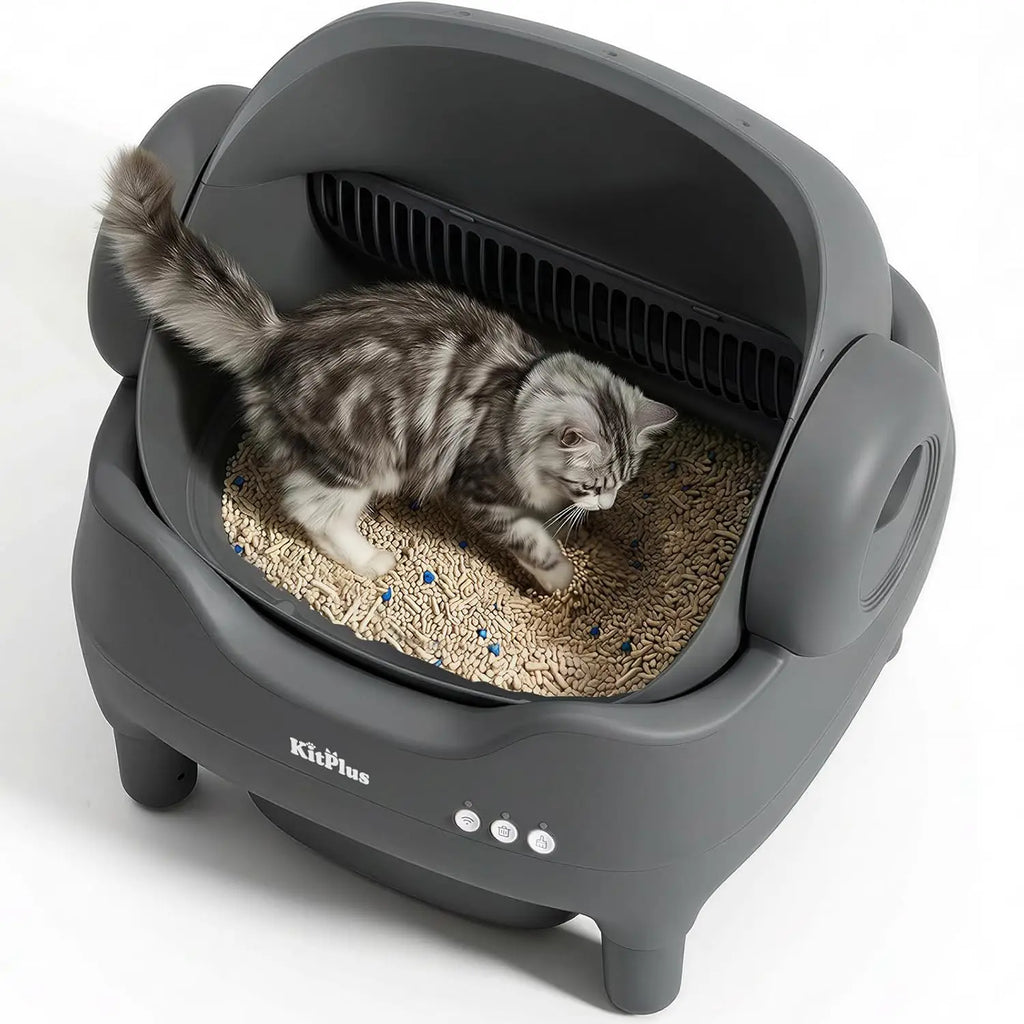Automatic Self Cleaning Cat Litter Box, Open-top Safe Design with Smart Safety Sensors, No-Trap Entry for Cat, Customized